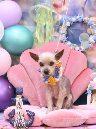 20240808ふみちゃん 